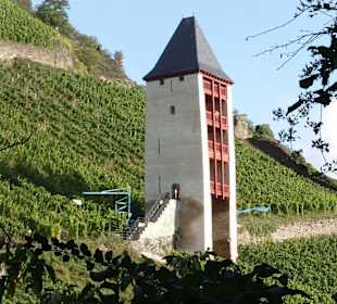 Bacharach: Postenturm im Weinberg