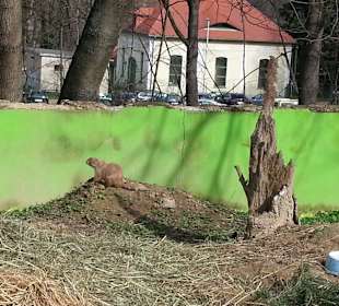 Im Tierpark