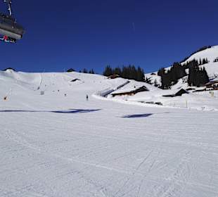 Skigebiet Loferer Almenwelt