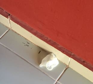 Vor unserem Zimmer jeden Morgen 