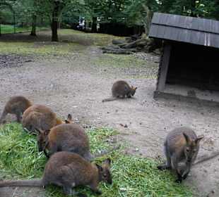 Zoo Ostrava