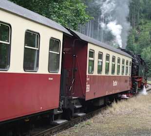 Ausfahrt aus Netzkater