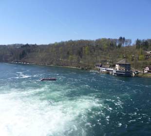 Blick auf das Rheinfallbecken zum Schlössli Wörth