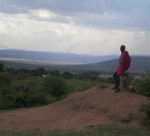 Masai Mara - müder Krieger