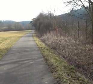 Rundwanderung durch den Rauhen Rammert Hemmendorf