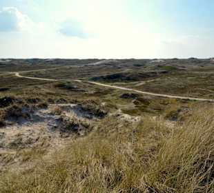 Dunen