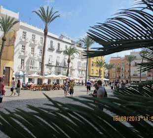 Der von Palmen und Cafés geprägte Plaza de la Cat.