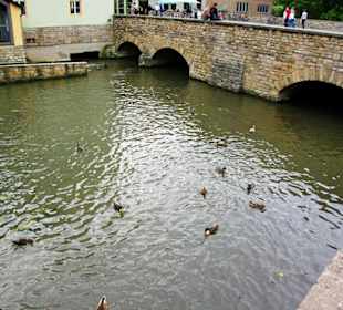 Stadt Erfurt im Bild Sept.2010