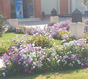 Einkaufen & Shopping