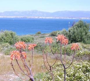 Cala Blava Blick nach Palma