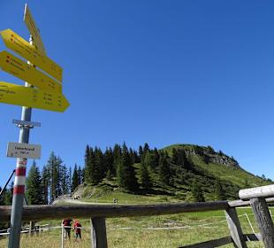 Natur Grafenberg