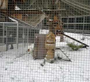 Gut Aiderbichl Federvieh