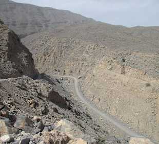 Safari nach Jebel Harim 
