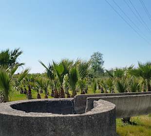 Wandern Side - Kumköy