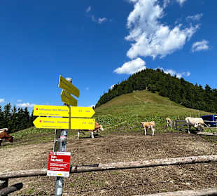 Wandern Faistenau