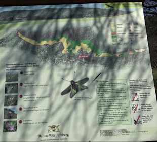 Hirschauer Spitzbergwegle (Premiumspazierwanderweg