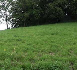 Hochgehnießen - Premiumspazierwanderweg