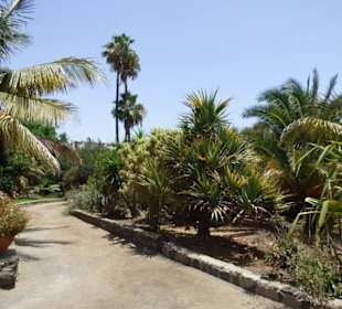 Schöner Garten