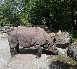  Tierpark Hellabrunn