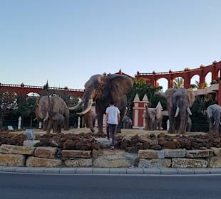 Stadtrundgang Benalmadena