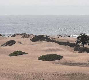 Dünen von Maspalomas