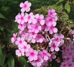 Impressionen aus dem Jardin des Plantes