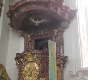 Innenansicht der Schlosskirche