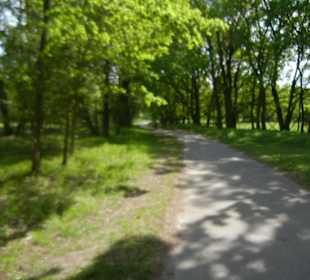 Naturschutzgebiet Boberger Niederung