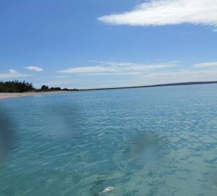 Bahia de las Aguilas