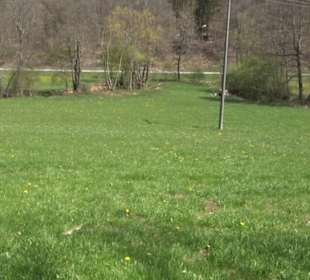 Waldkulturerbe Neuweiler Viehweide