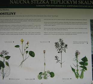 Adrchšpachské skály