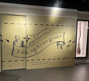 Harry Potter New York Store