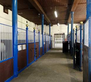 Angeschlossene Stallungen an das Museum