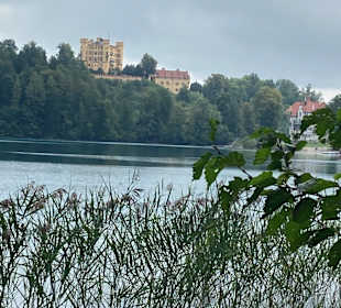 Forggensee