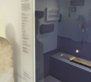 Rheinisches Landesmuseum