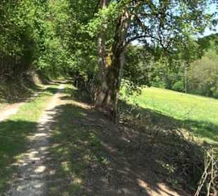 Premiumwanderweg Hochgehschätzt