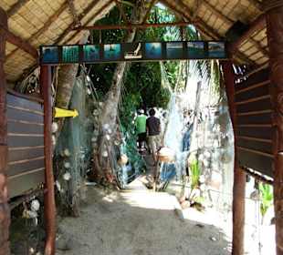 Abschließende Besichtigung einer Perlenfarm