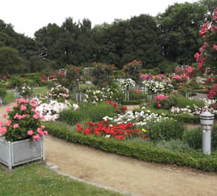 Rosengarten