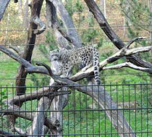 WP LH Herbst Impression