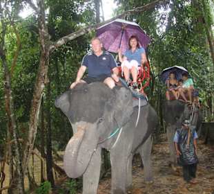 Ritt auf Indischem Elefant
