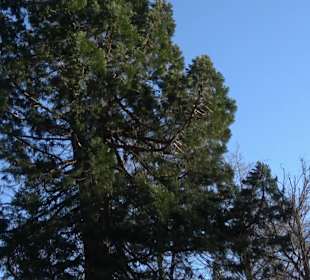 Wanderung rund um den Ochsenweiher