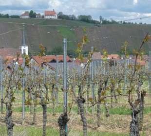 Ausblick von den Weinbergen von Nordheim am Main