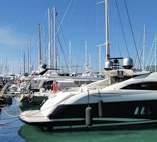 Hafen von Palma de Mallorca im März 17