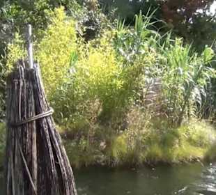 Fantasy - Wassertreter