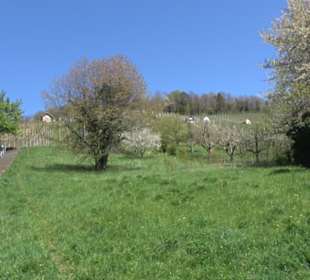 Wanderung Florianrunde