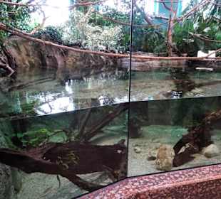 Im Tropenhaus des Zoo Salzburg