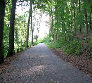 Die letzten 400 m geht es auf Waldwegen nach oben
