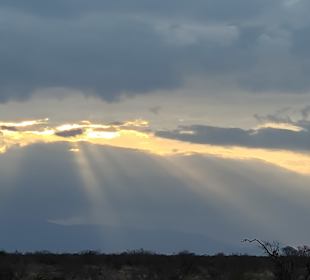 Tsavo Ost und West Safari