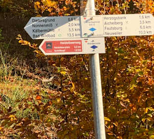 Wandern Enzklösterle