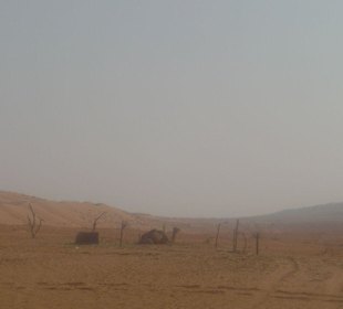 Wüstenausflug
